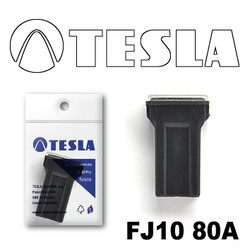 FJ1080A Tesla