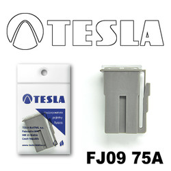FJ0975A Tesla